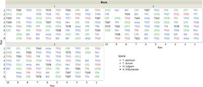 High-Throughput Phenotyping of Bioethanol Potential in Cereals Using UAV-Based Multi-Spectral Imagery